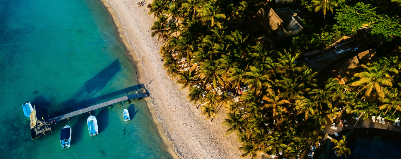 An aerial shot of the coastline bordering a sandy beach and palm trees